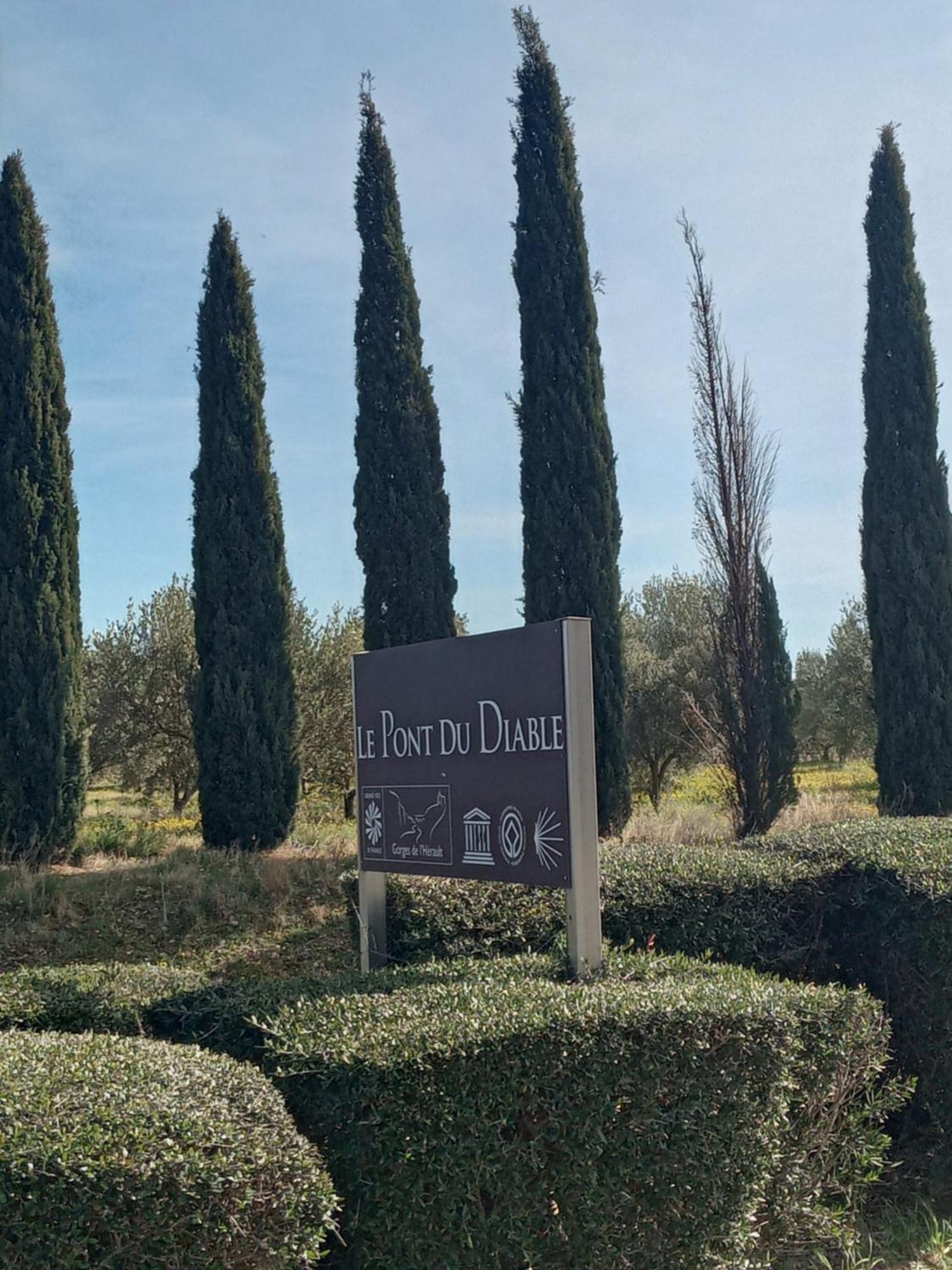 L'Echappee Belle Daire Saint-Jean-de-Fos Dış mekan fotoğraf